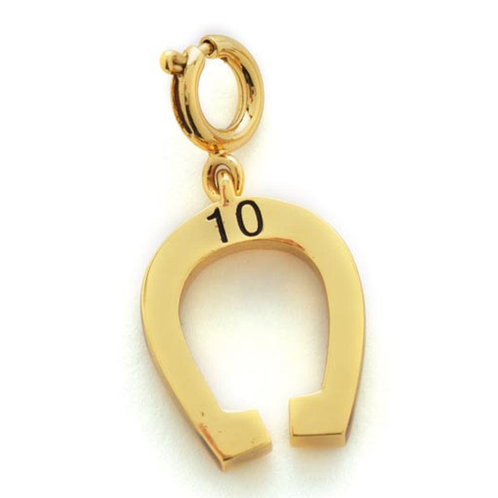 Growing Up Girls Charm – Age 10 Horseshoe