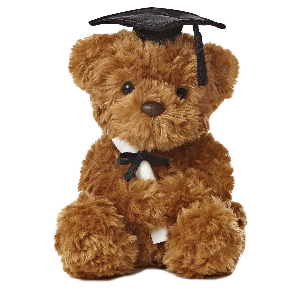 Aurora Graduation 8.5″ Wagner Bear – Black Cap