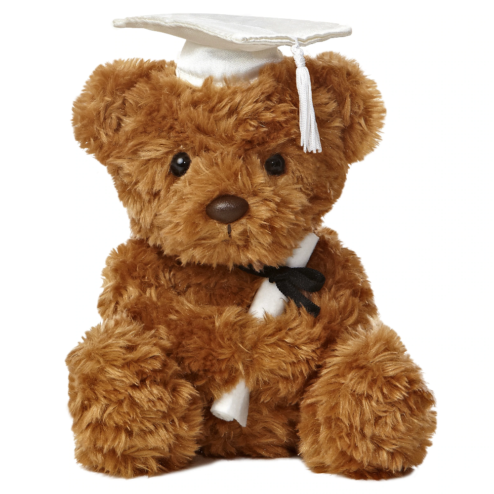Aurora Graduation 8.5″ Wagner Bear – White Cap