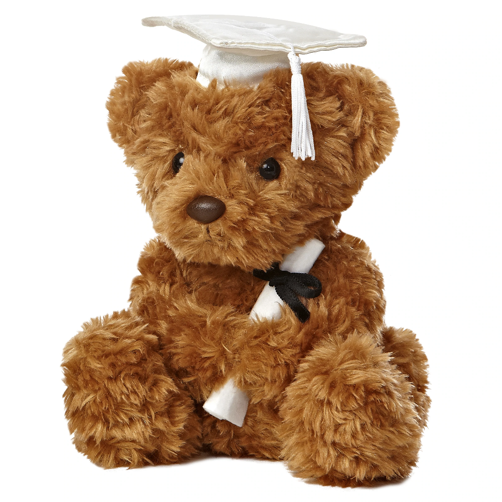 Aurora Graduation 8.5″ Wagner Bear – White Cap