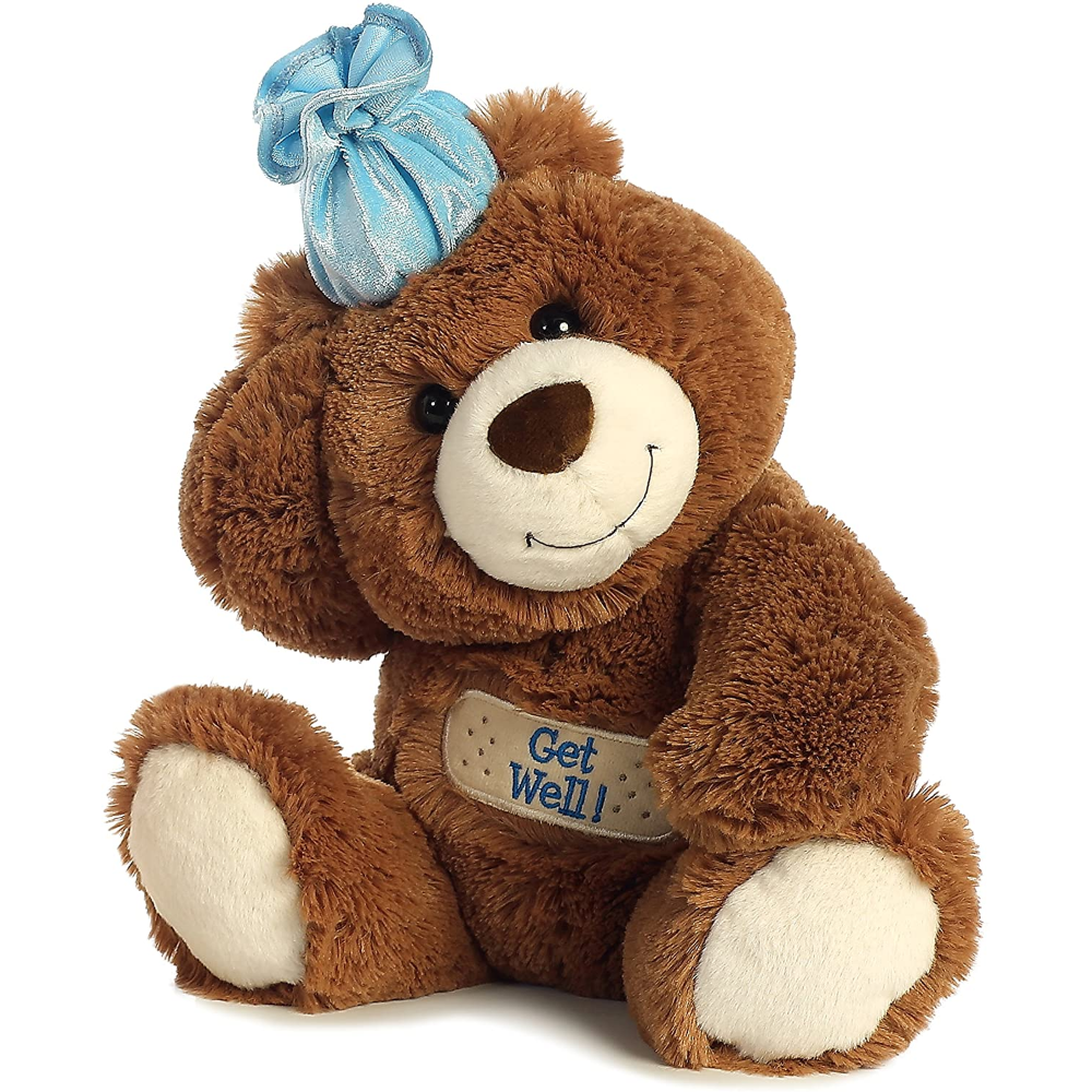 Aurora – 12″ Get Well Bear