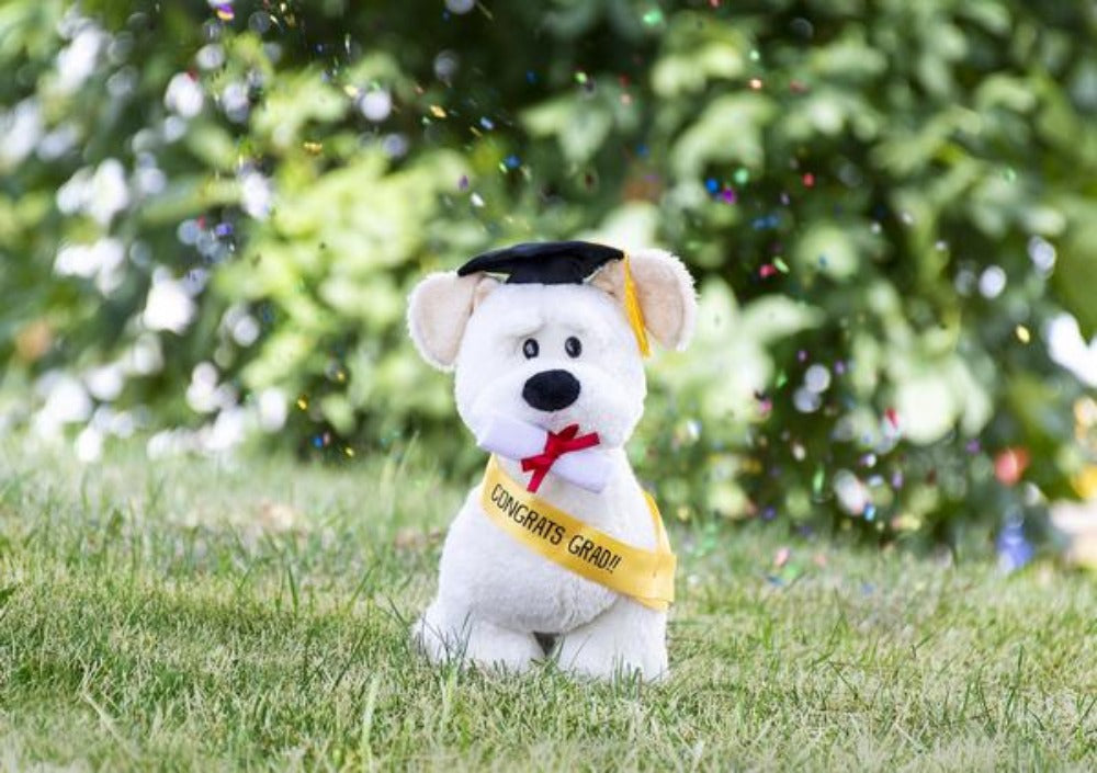 Ganz Congrats Grad Ralph 9″