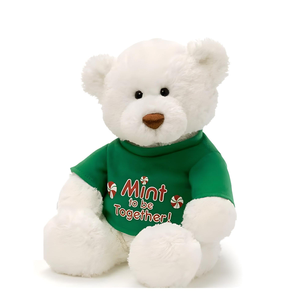 Gund Merry Mint T-Shirt Bears – Mint to be Together