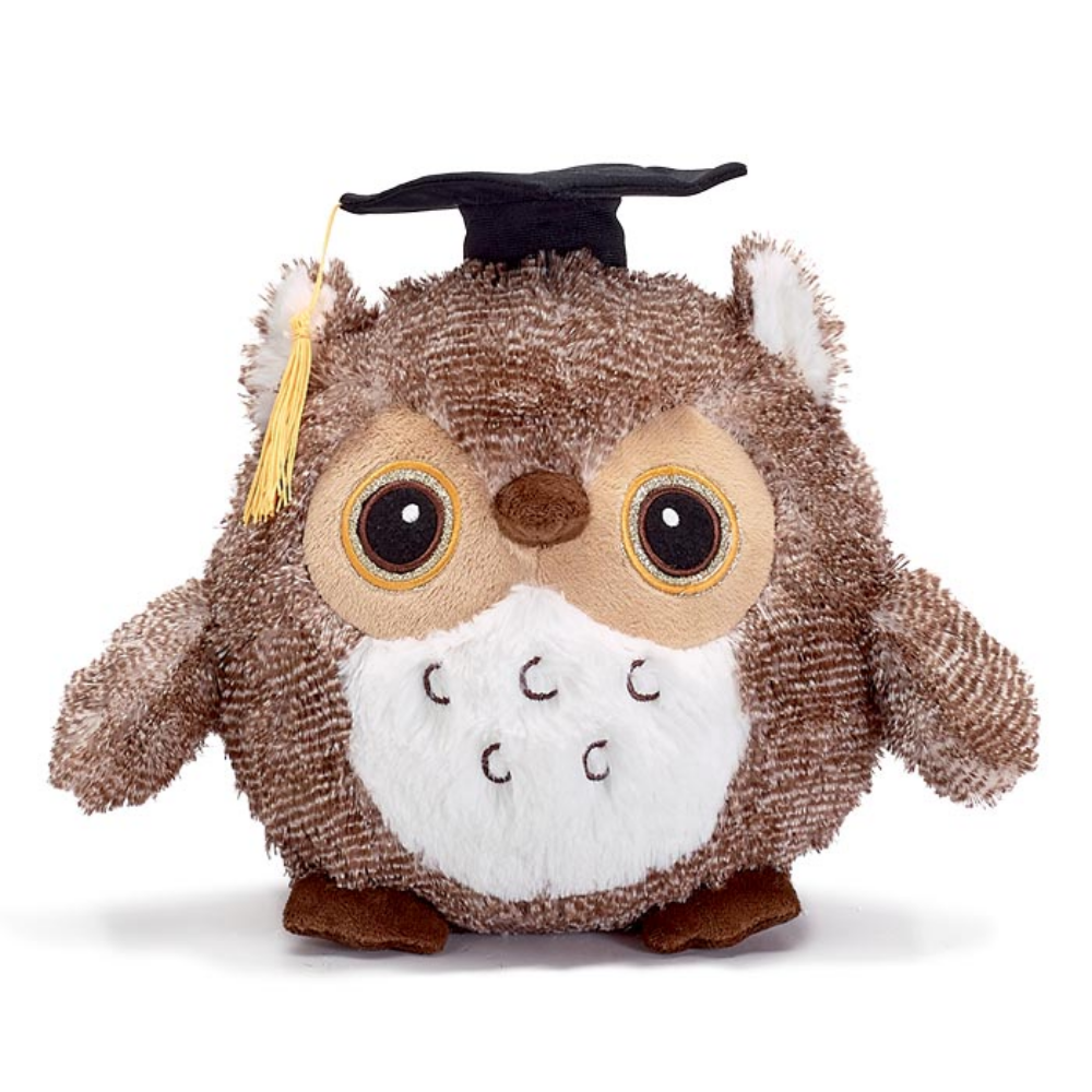 Burton & Burton Round Graduation Owl with Black Cap 9″